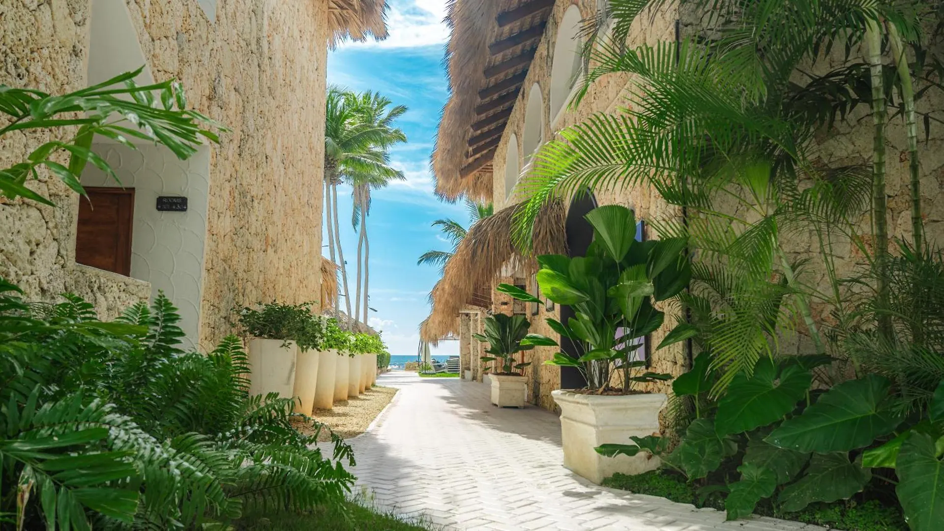 Tribe Resort 瓜亚卡内斯